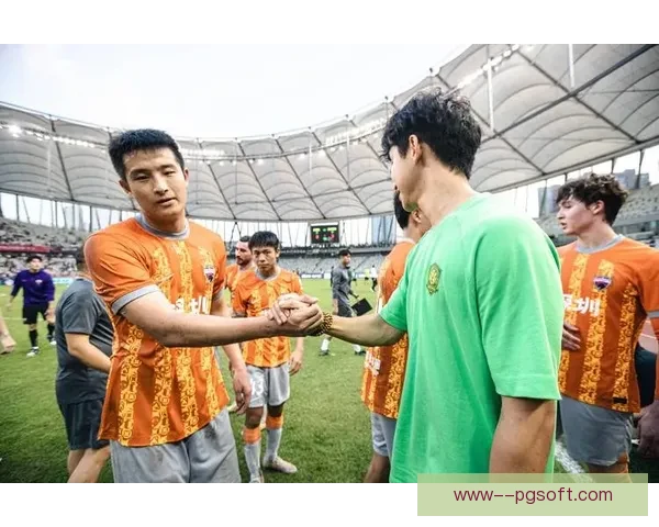 深圳市足球俱乐部因历史债务问题宣布解散退出中国职业足球圈